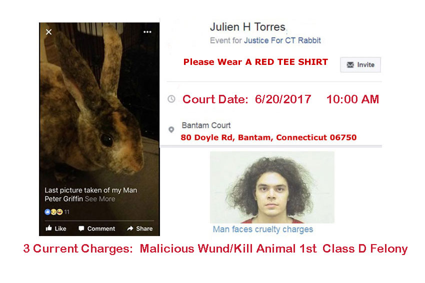 UPDATE-PETITION-PHOTO-6.16.2017
